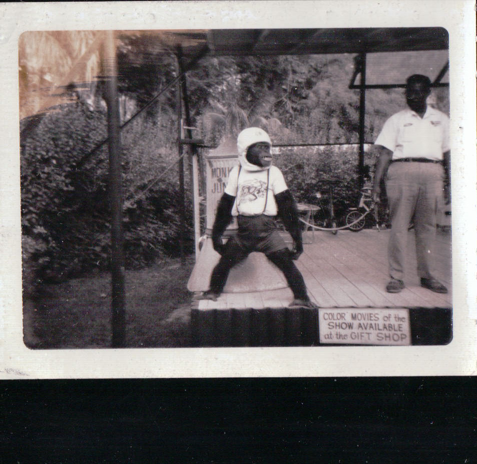 998.JPG  by Terry Kelly Photography