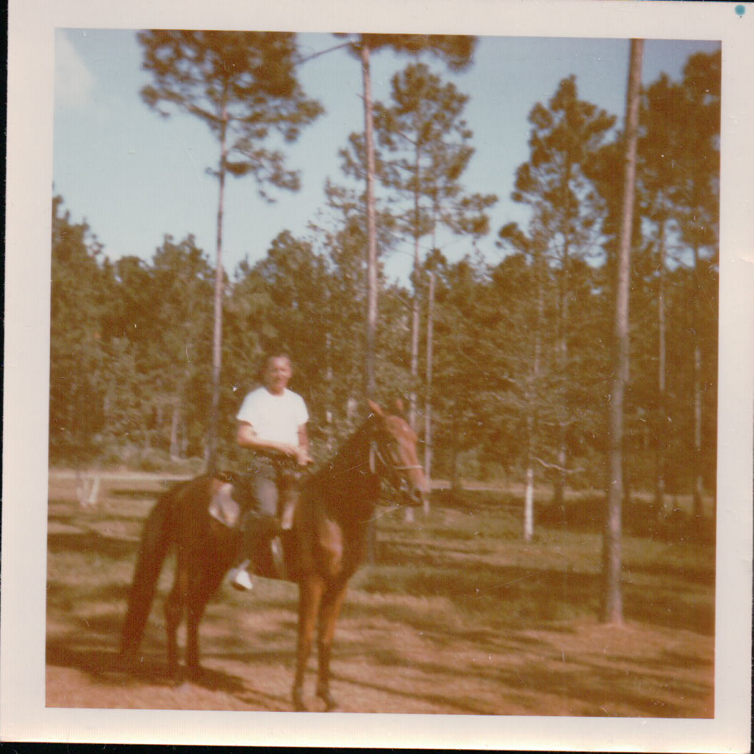 307.JPG  by Terry Kelly Photography