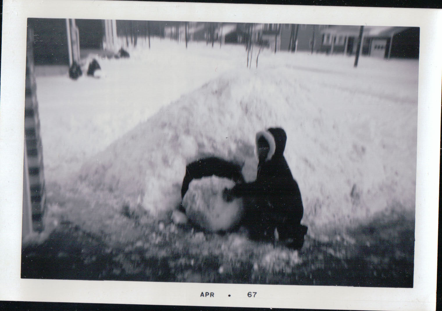 996.JPG  by Terry Kelly Photography