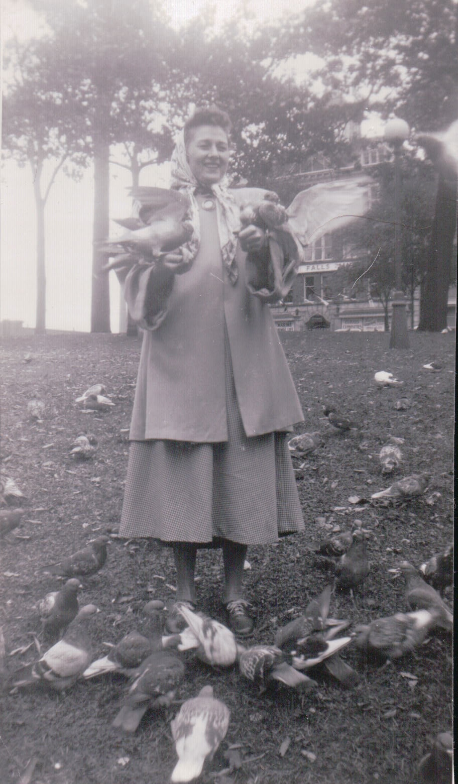 288.JPG  by Terry Kelly Photography