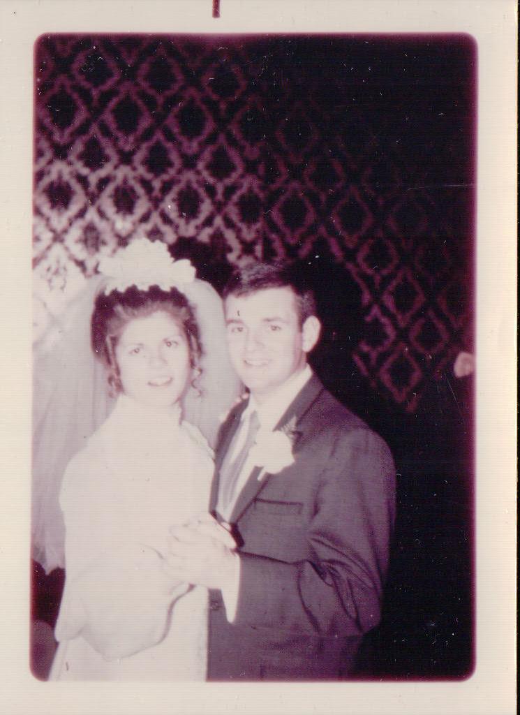 350.JPG  by Terry Kelly Photography