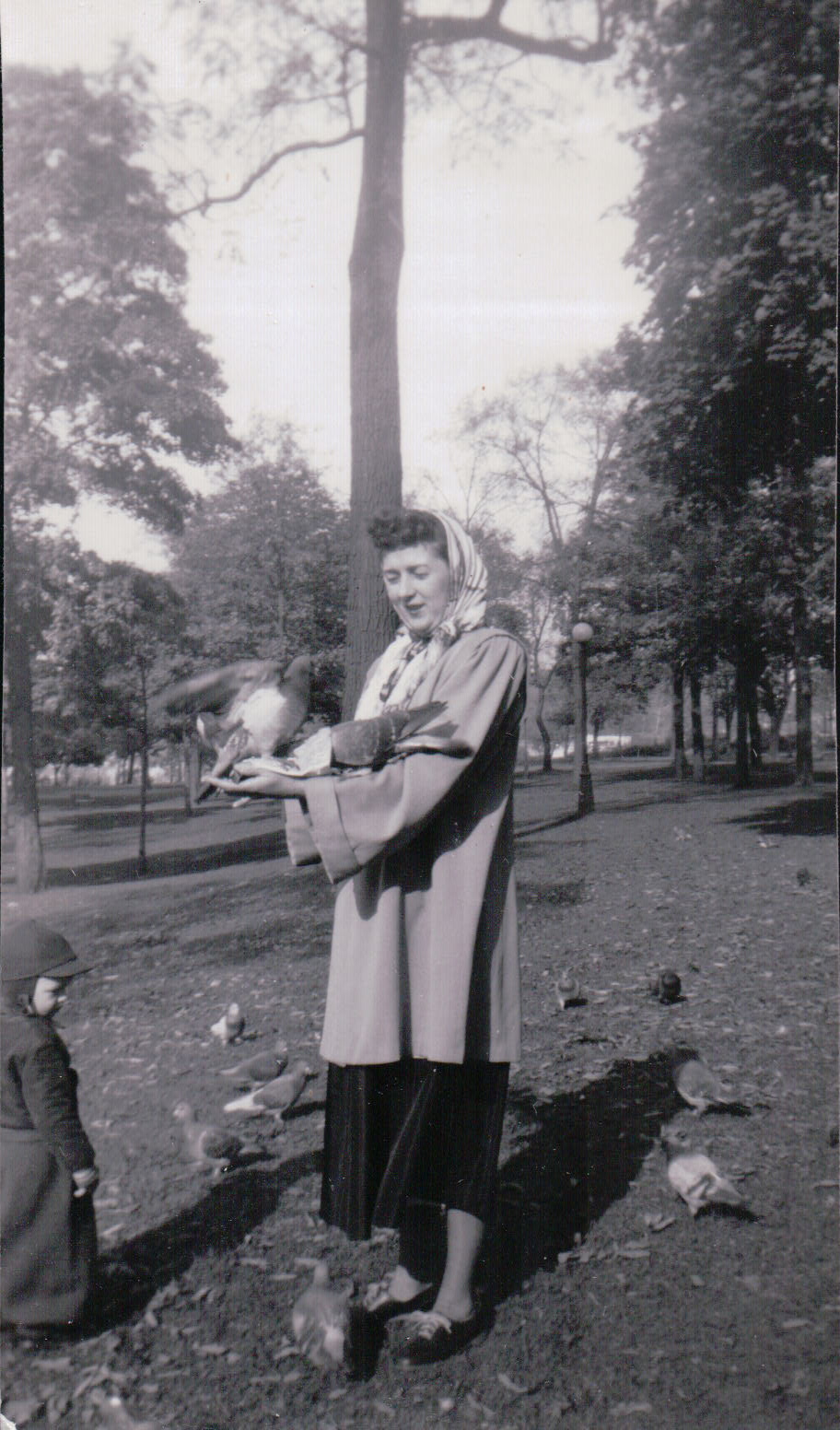 831.JPG  by Terry Kelly Photography