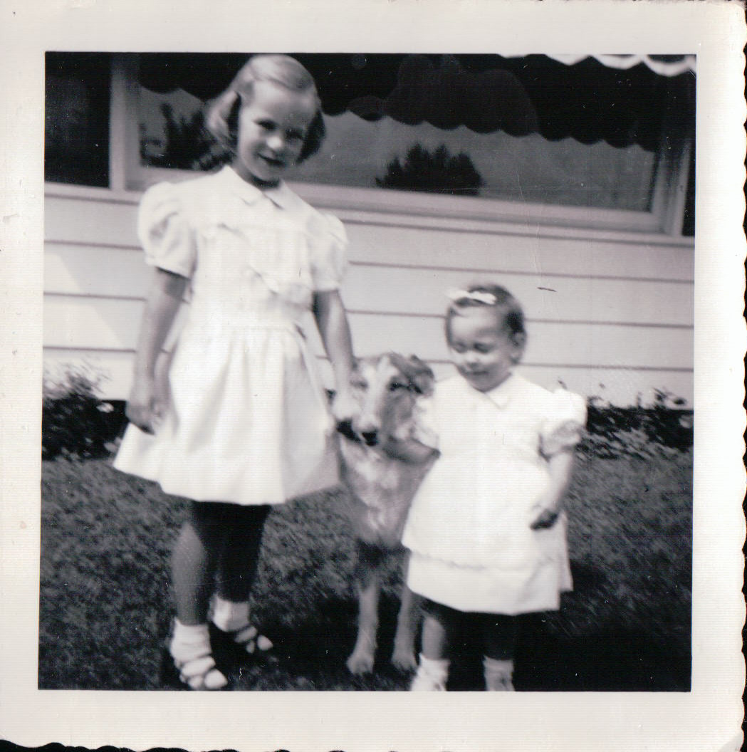 486.JPG  by Terry Kelly Photography