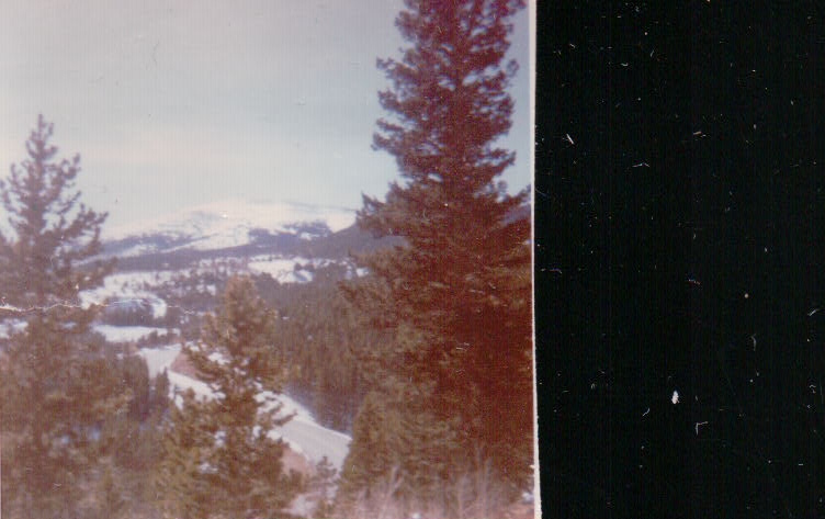 446.JPG  by Terry Kelly Photography