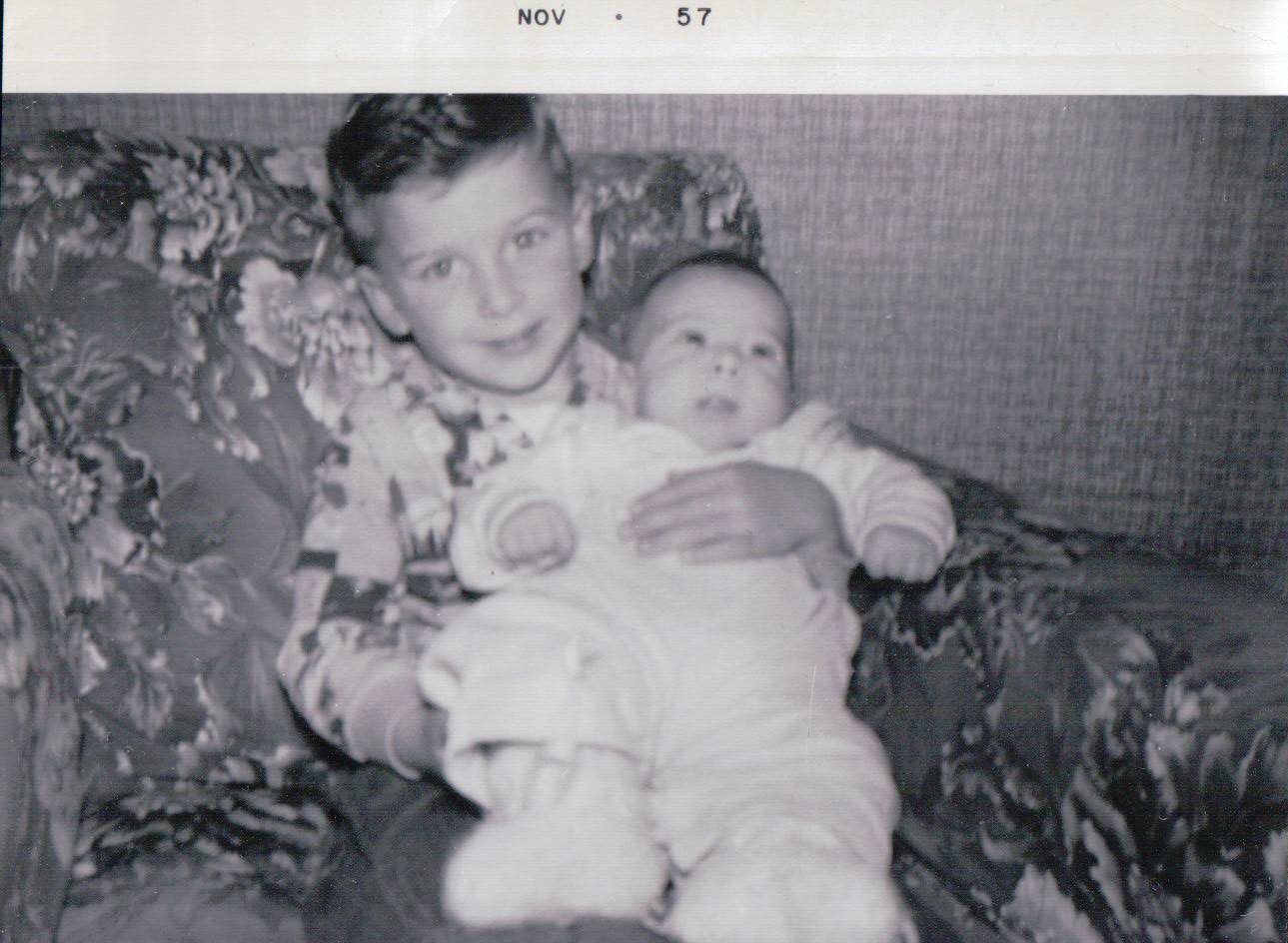 686.JPG  by Terry Kelly Photography