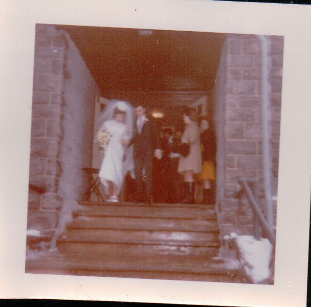 368.JPG  by Terry Kelly Photography