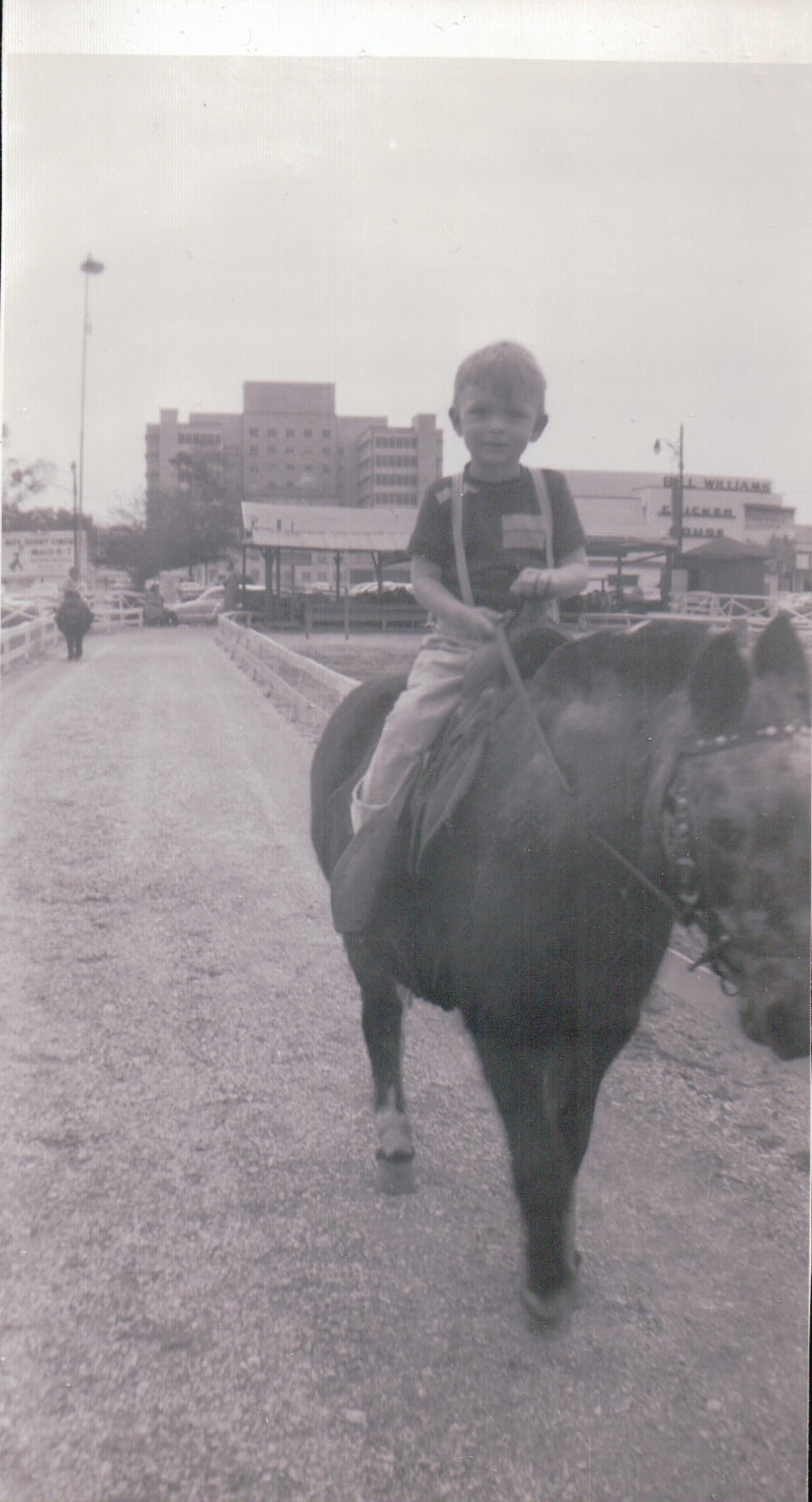 509.JPG  by Terry Kelly Photography