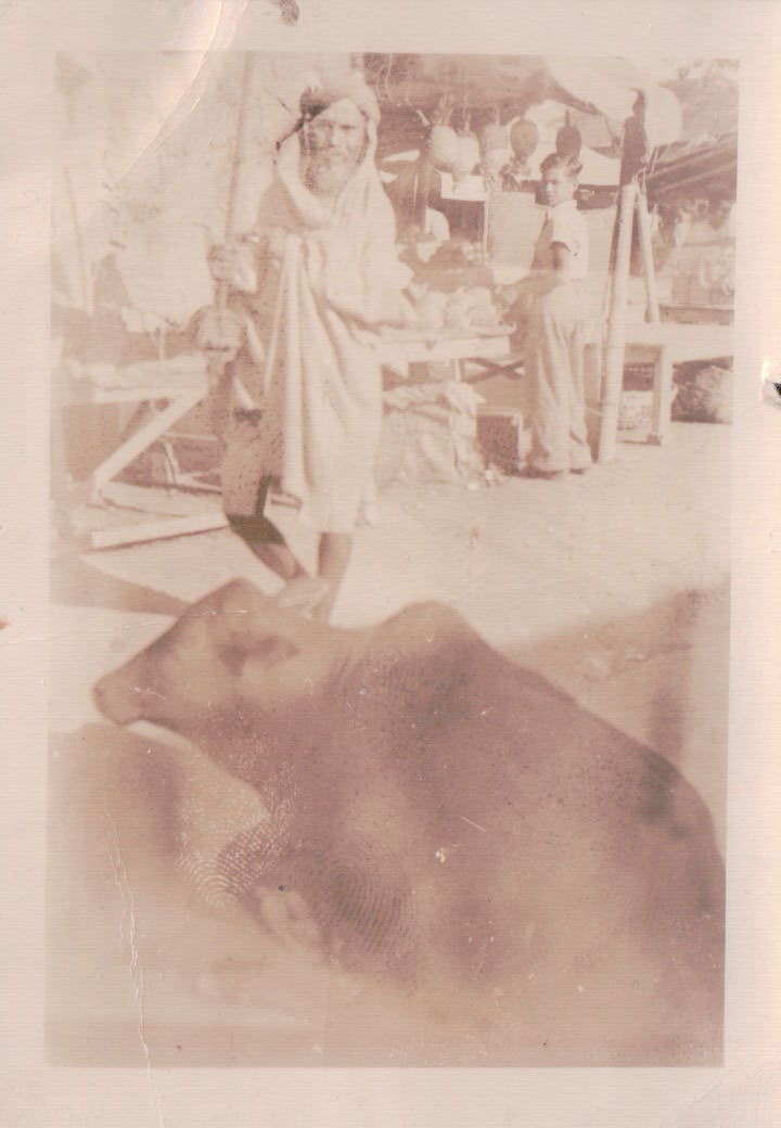 727.JPG  by Terry Kelly Photography