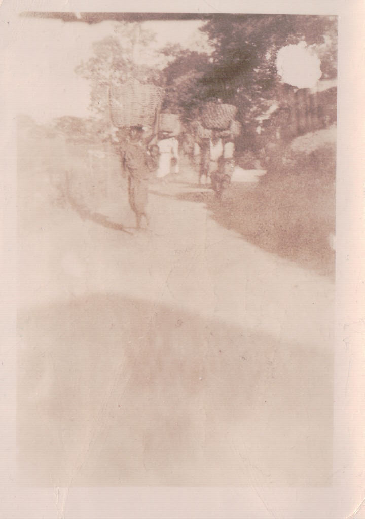 947.JPG  by Terry Kelly Photography