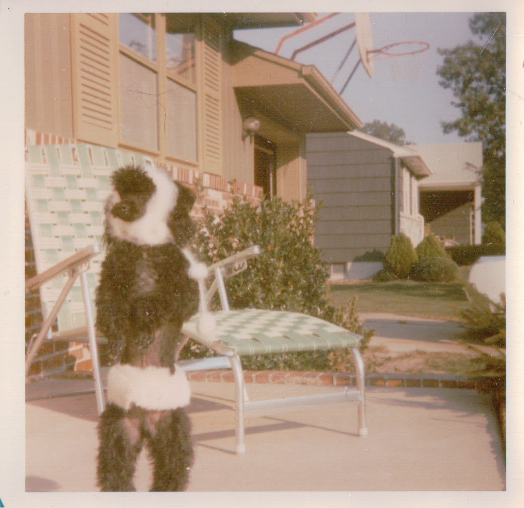 217.JPG  by Terry Kelly Photography