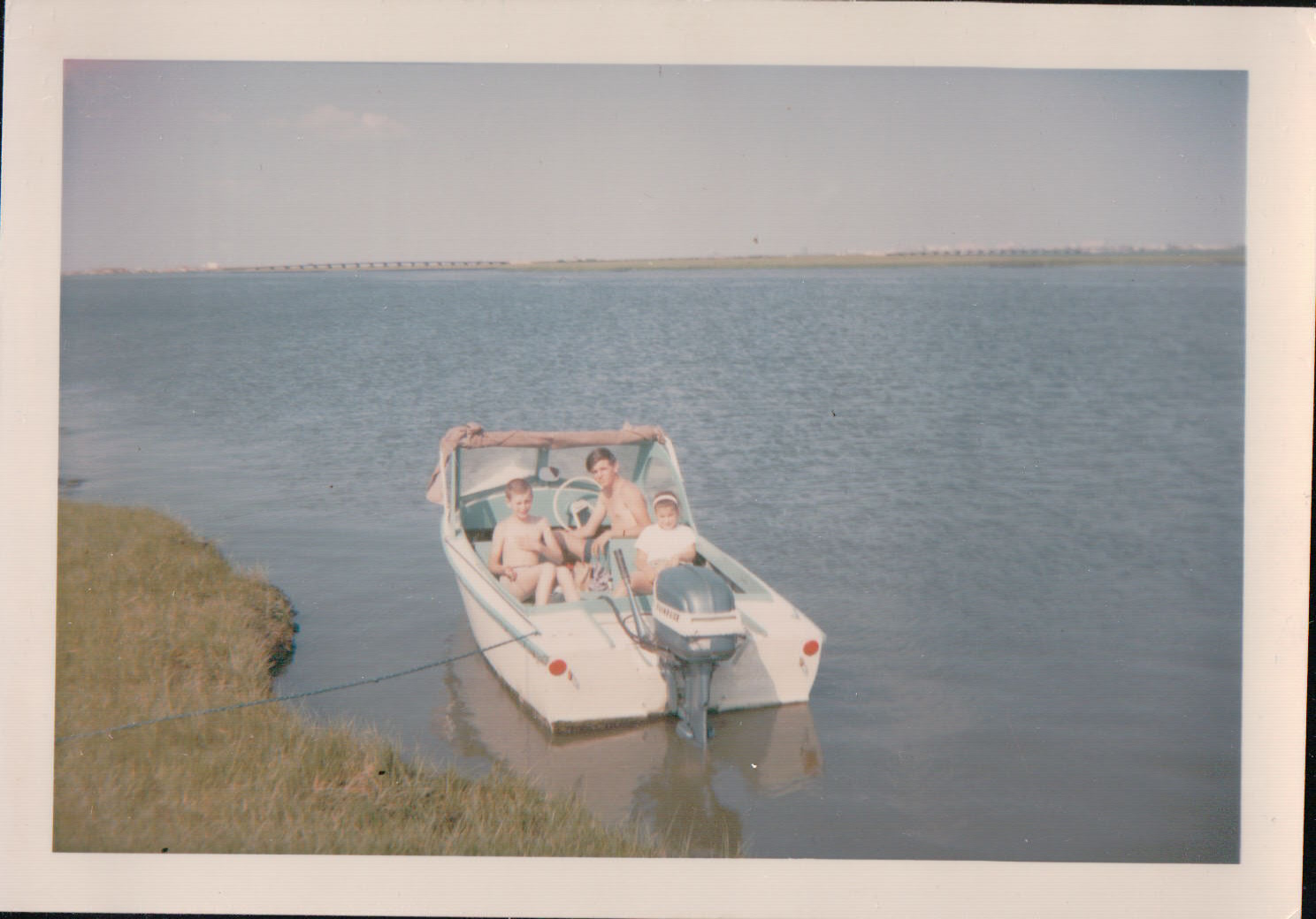 990.JPG  by Terry Kelly Photography