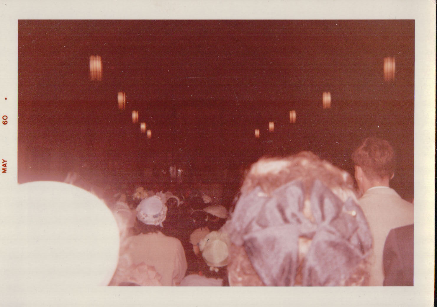 938.JPG  by Terry Kelly Photography