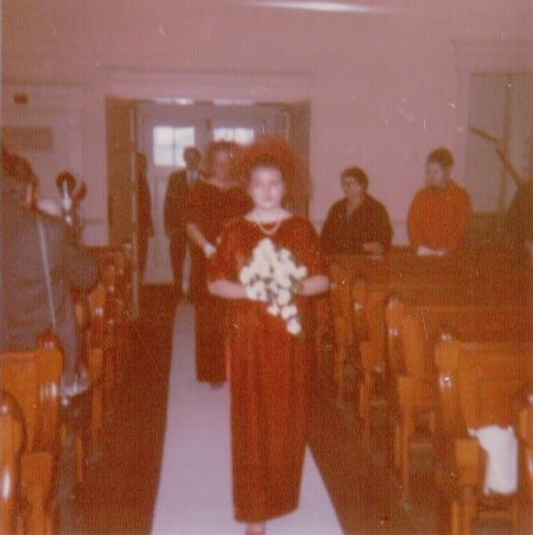 361.JPG  by Terry Kelly Photography