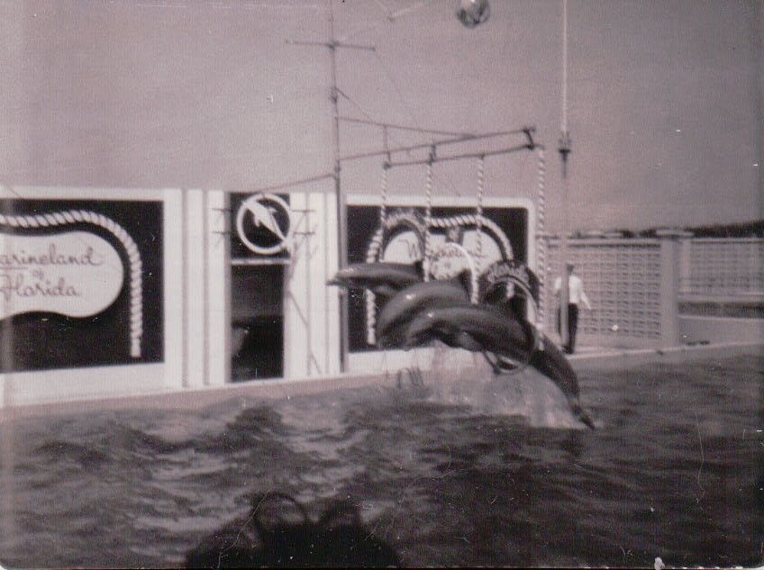 171.JPG  by Terry Kelly Photography