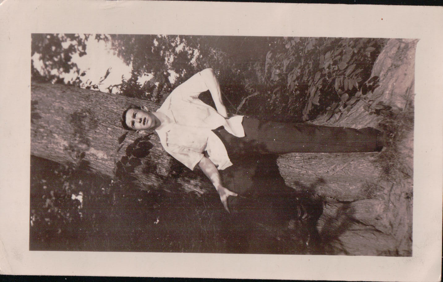 1376.JPG  by Terry Kelly Photography