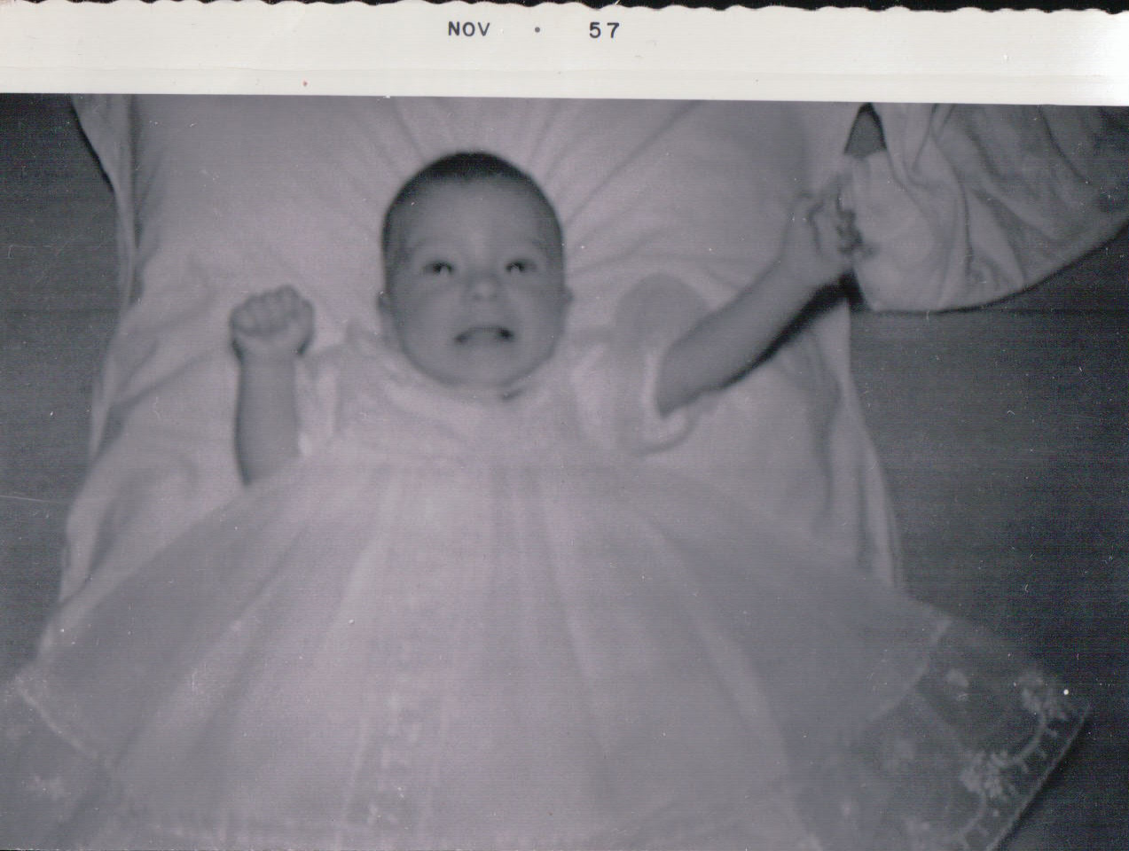 1489.JPG  by Terry Kelly Photography