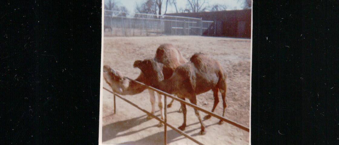 436.JPG  by Terry Kelly Photography