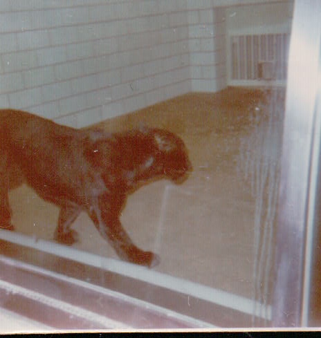 425.JPG  by Terry Kelly Photography