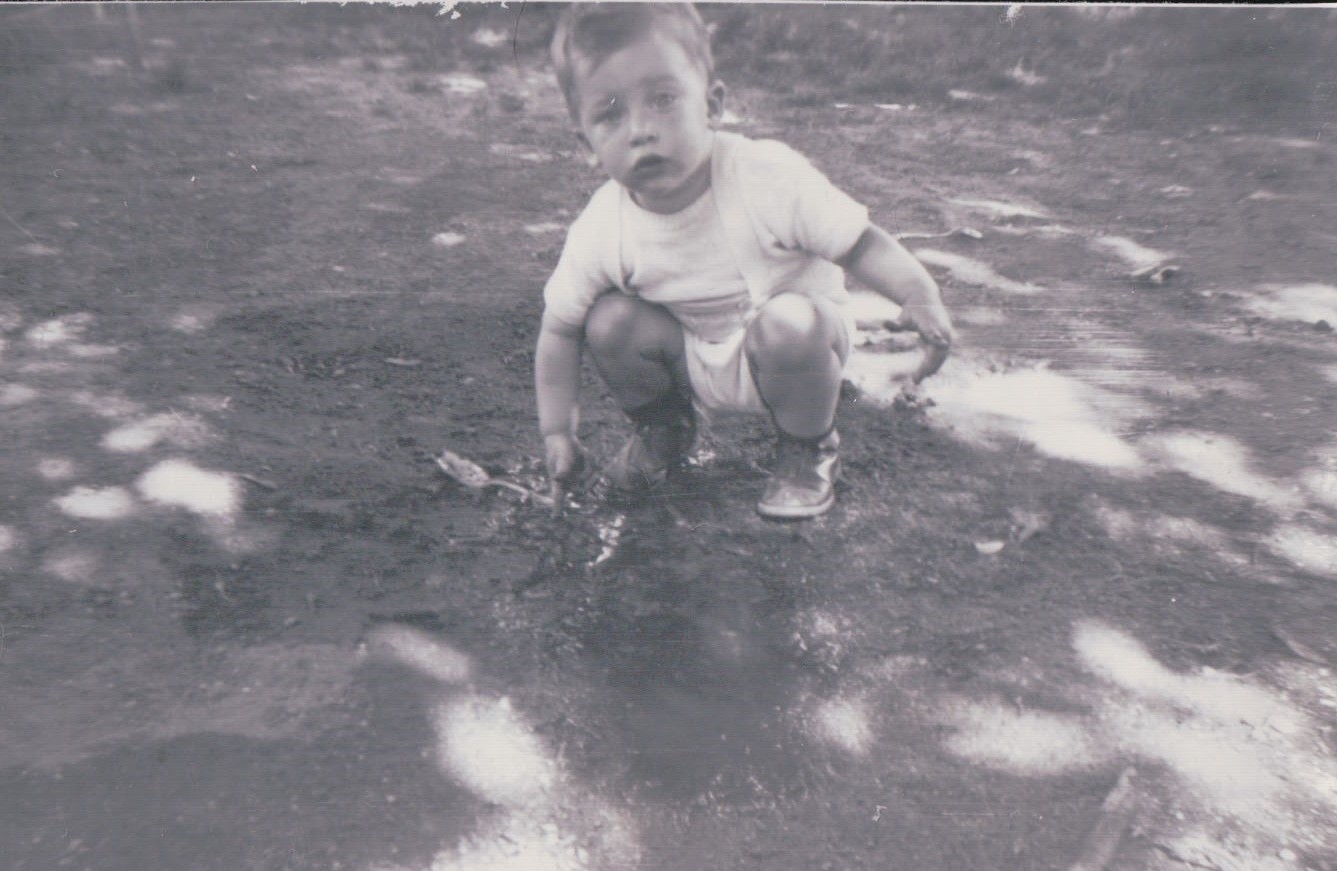 273.JPG  by Terry Kelly Photography