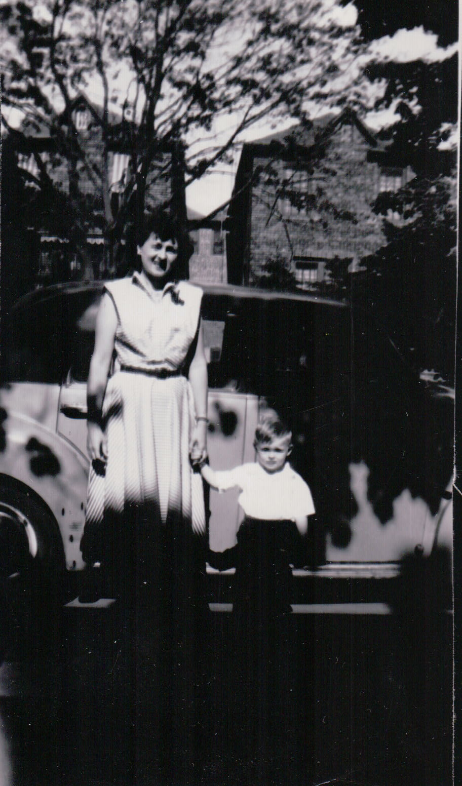 1385.JPG  by Terry Kelly Photography