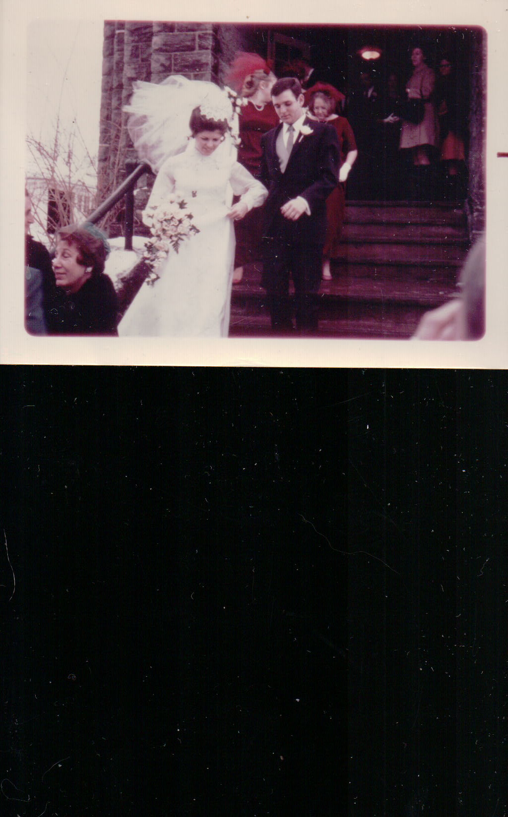 355.JPG  by Terry Kelly Photography