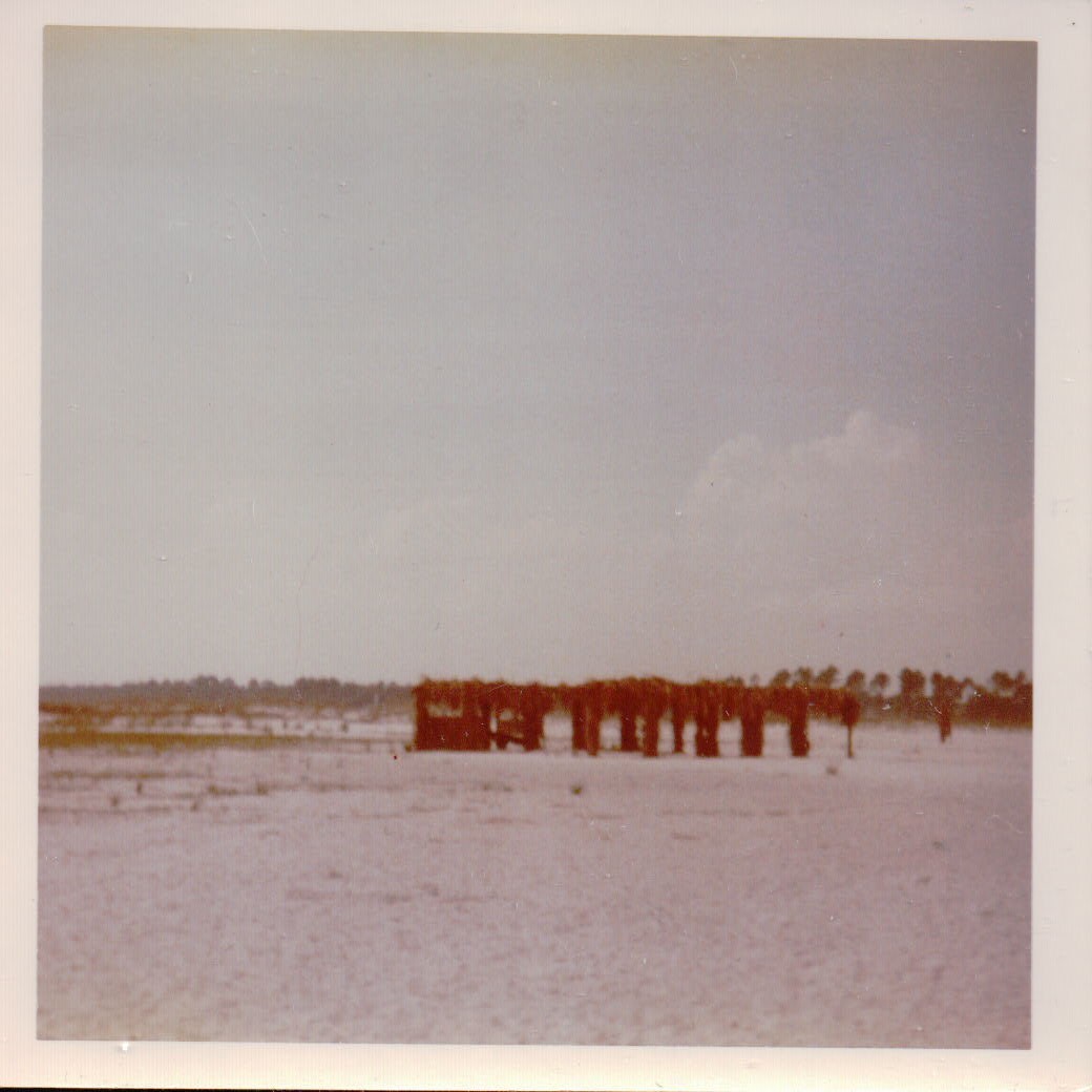 302.JPG  by Terry Kelly Photography