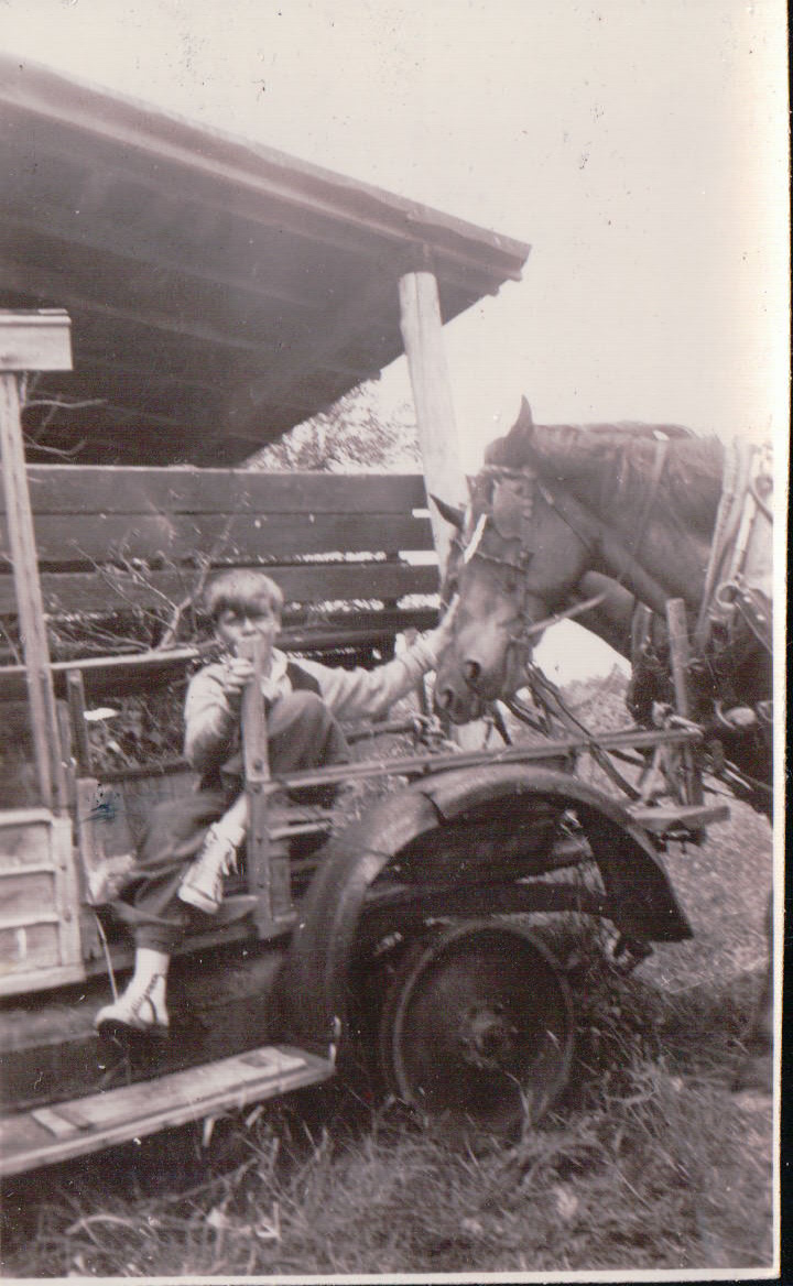 795.JPG  by Terry Kelly Photography