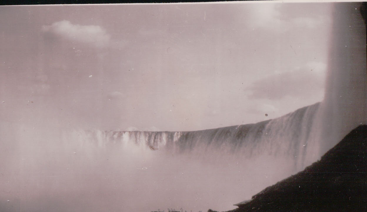 1305.JPG  by Terry Kelly Photography