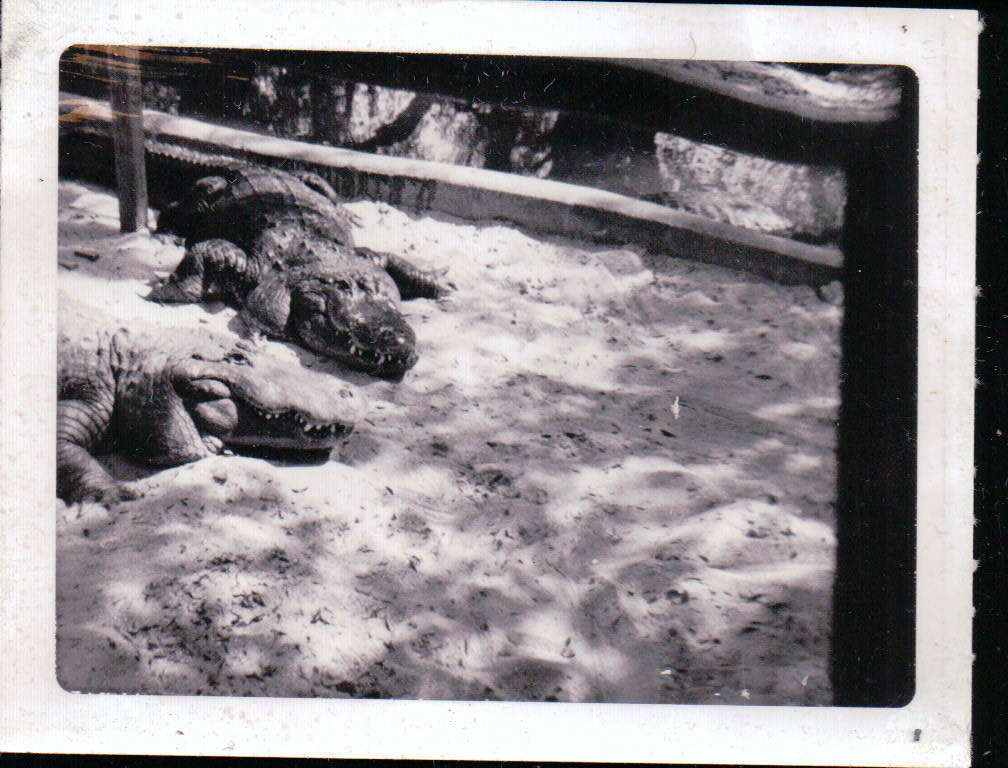 391.JPG  by Terry Kelly Photography