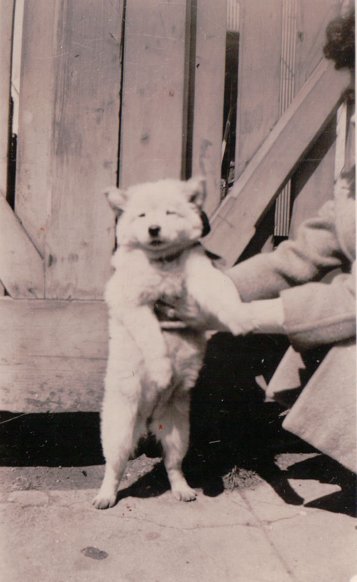 404.JPG  by Terry Kelly Photography