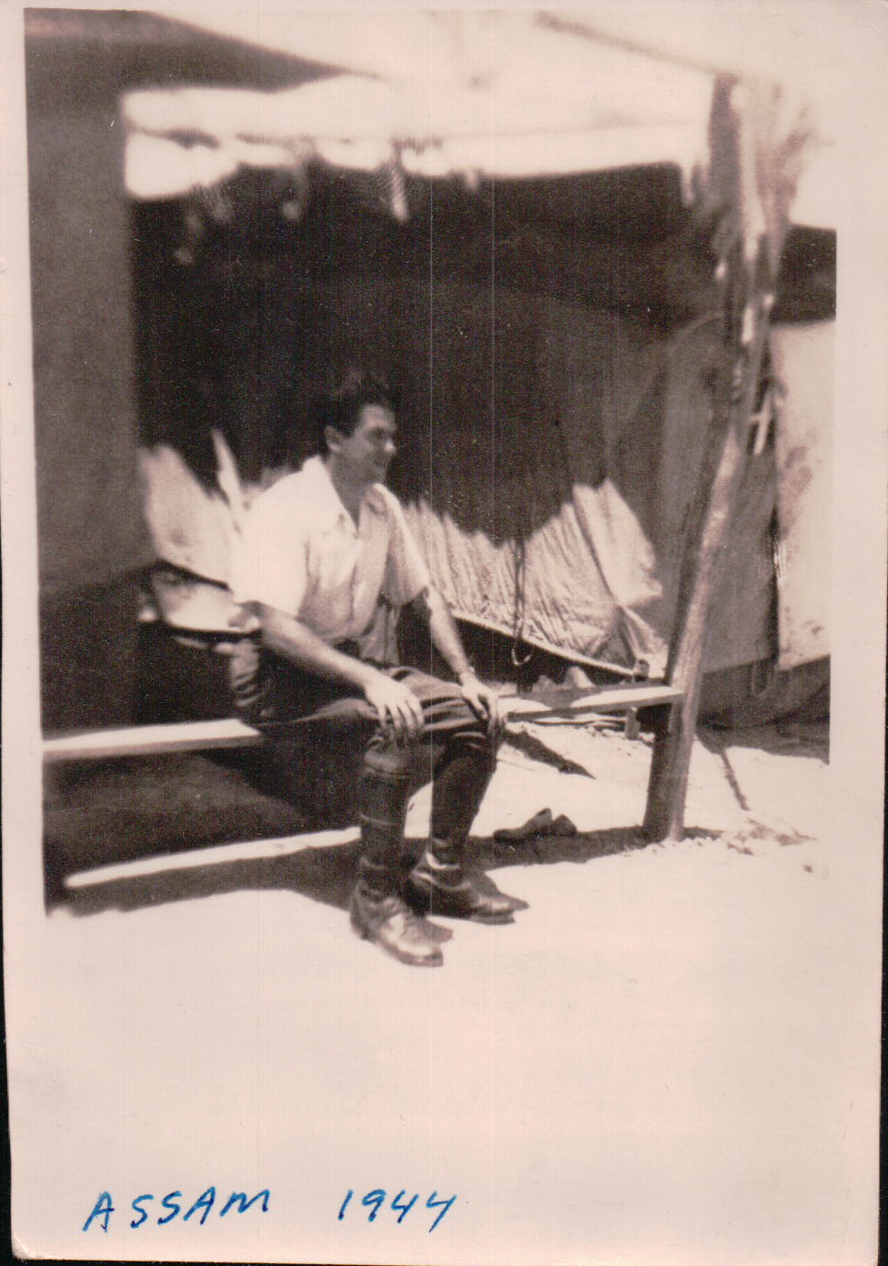 1262.JPG  by Terry Kelly Photography