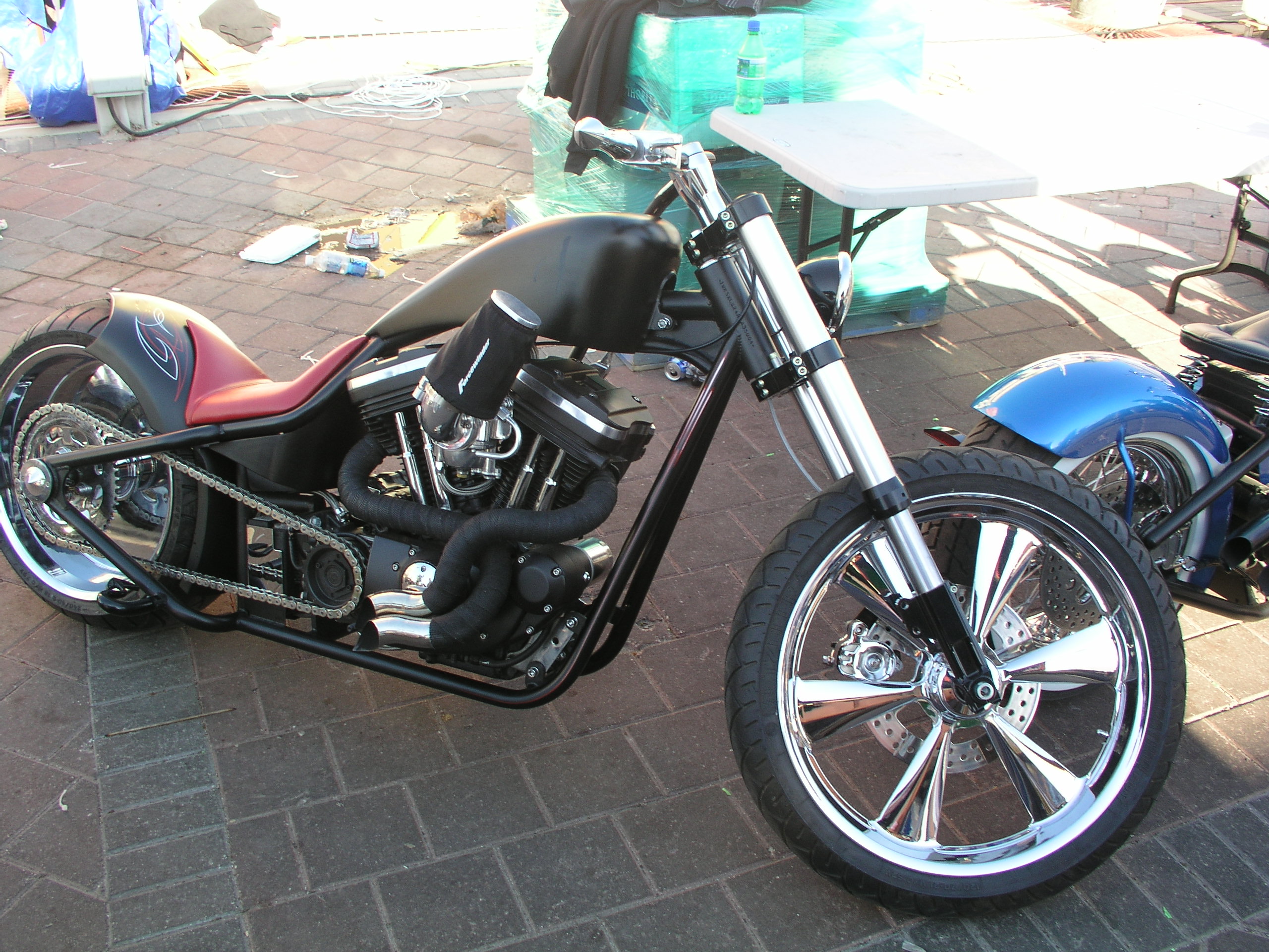 OLYMPUS DIGITAL CAMERA          OLYMPUS DIGITAL CAMERA          by Terry Kelly Photography