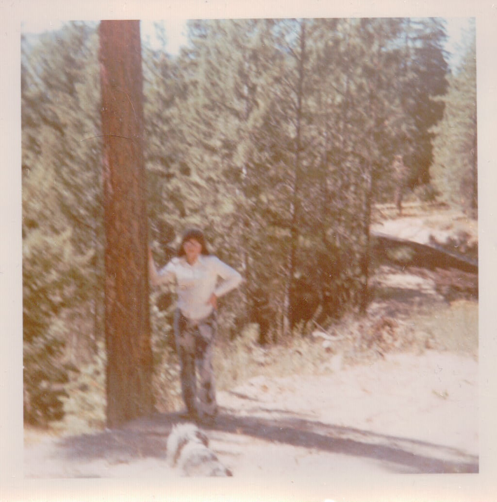 313.JPG  by Terry Kelly Photography