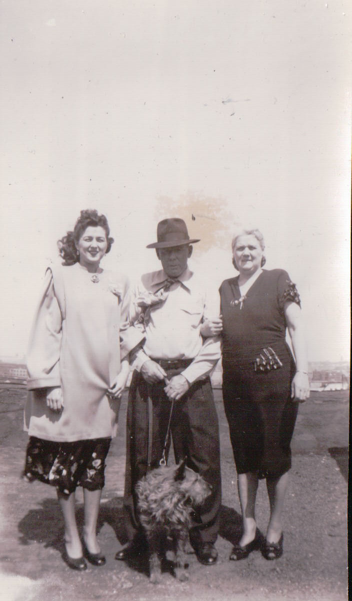 848.JPG  by Terry Kelly Photography