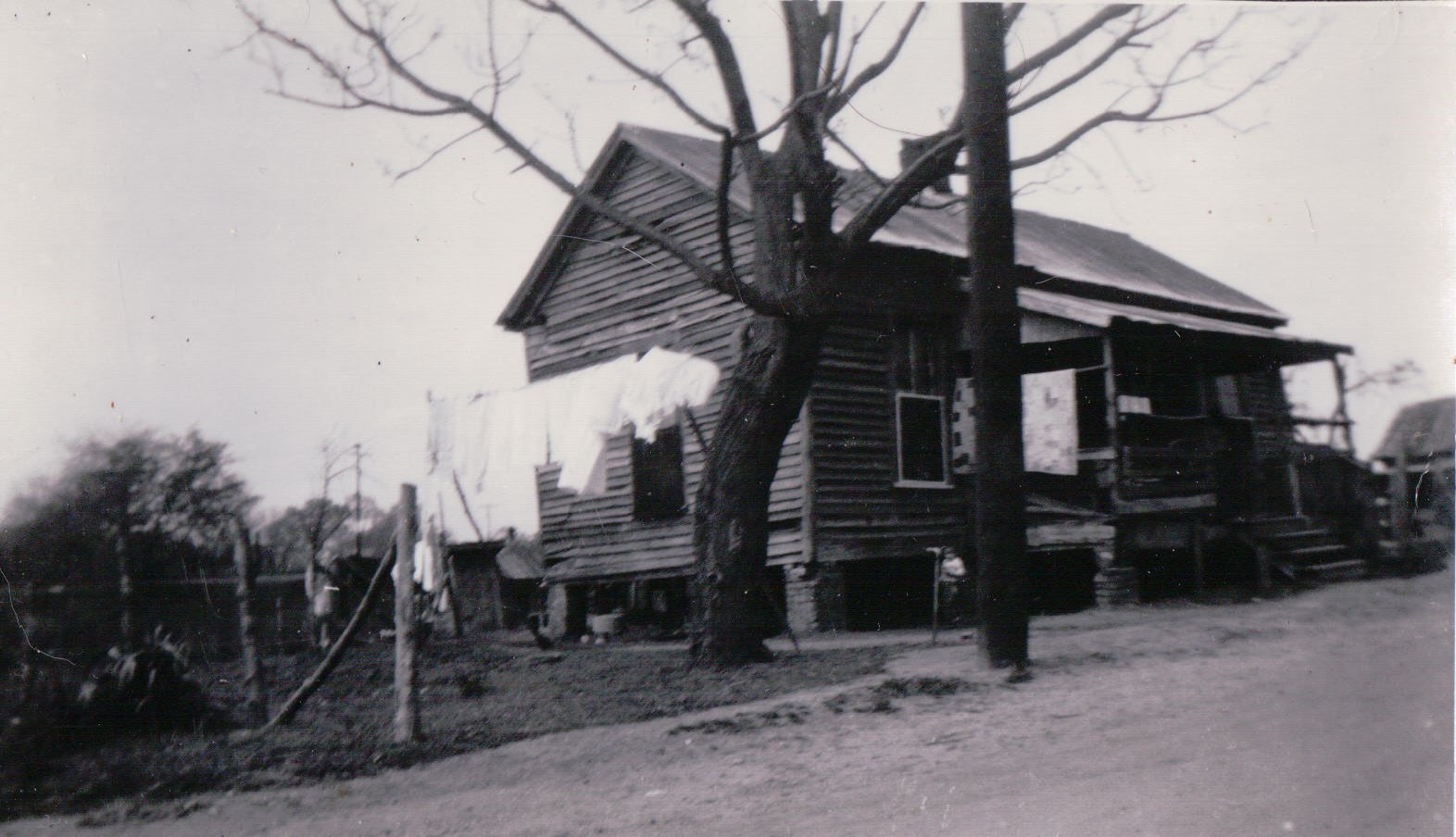 262.JPG  by Terry Kelly Photography