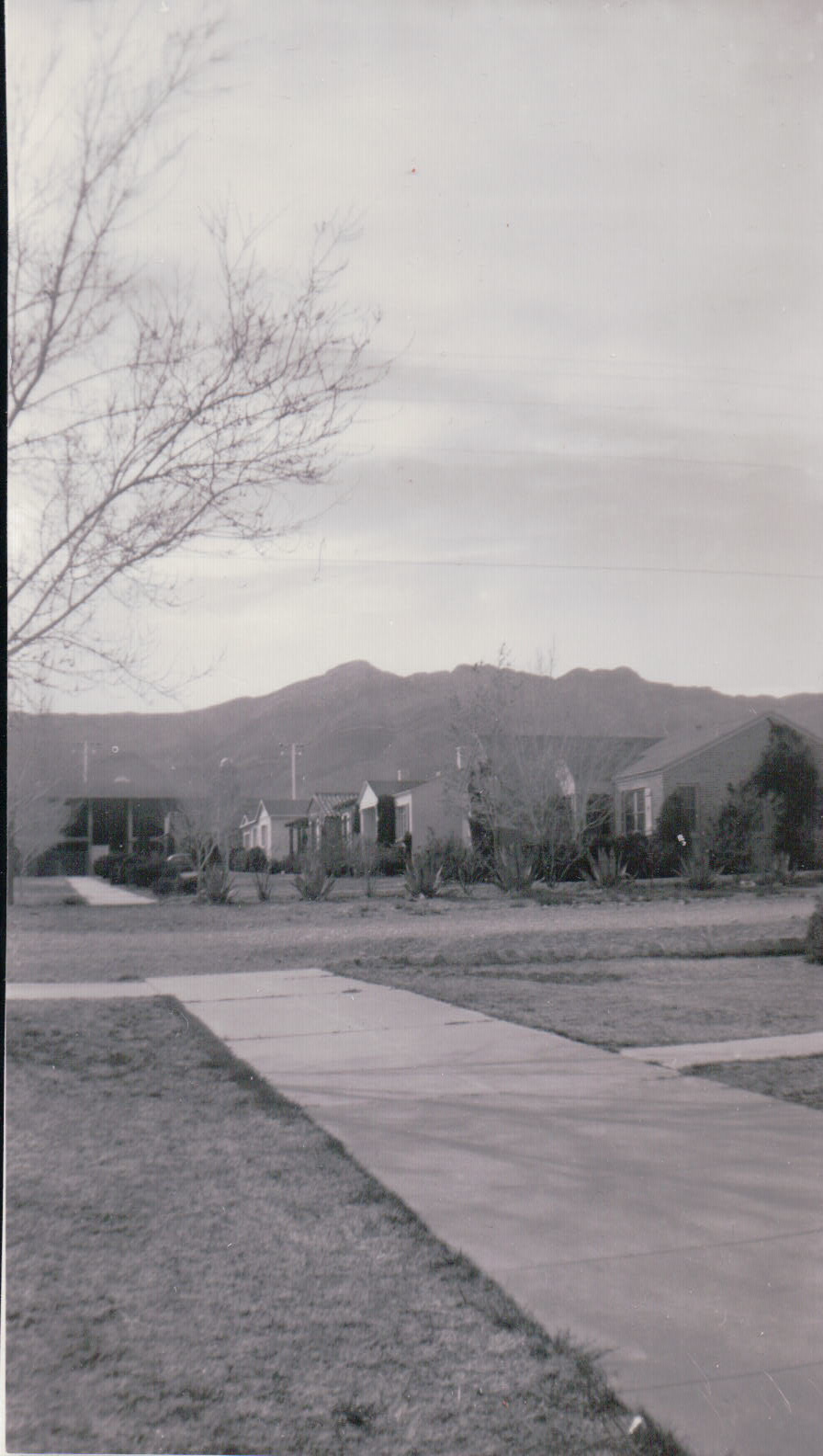 1051.JPG  by Terry Kelly Photography