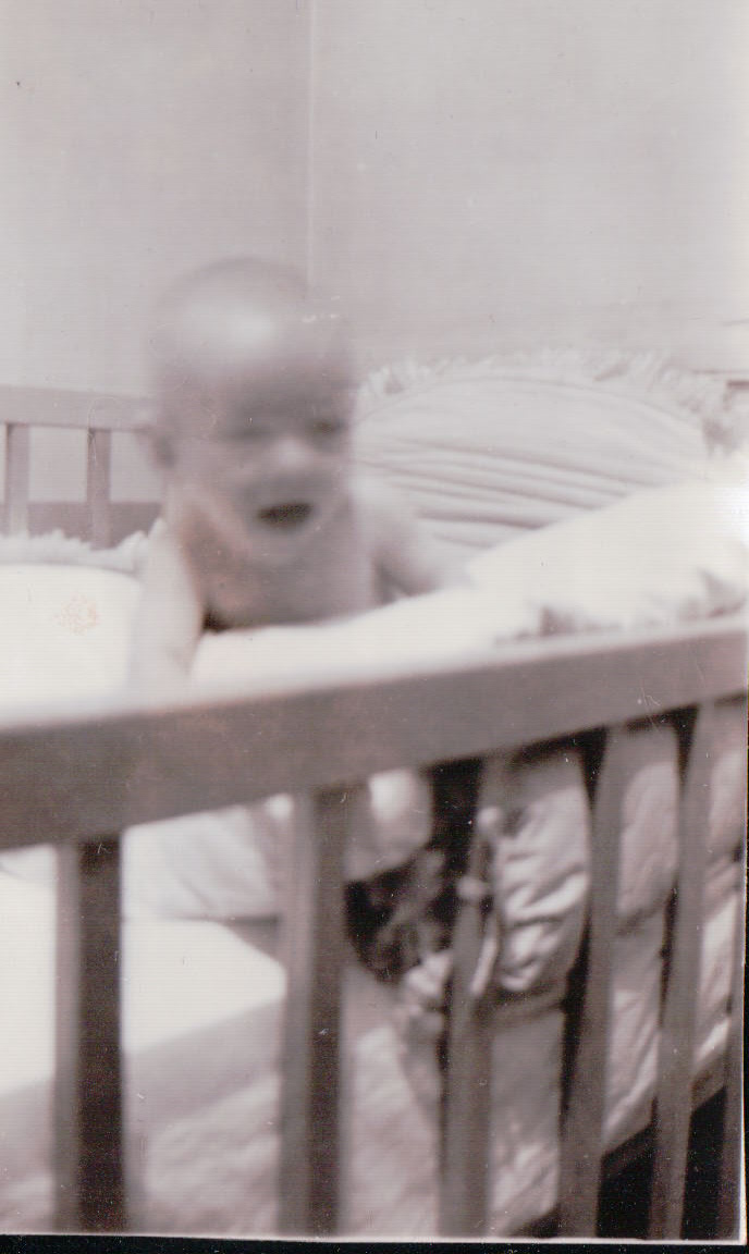 1246.JPG  by Terry Kelly Photography