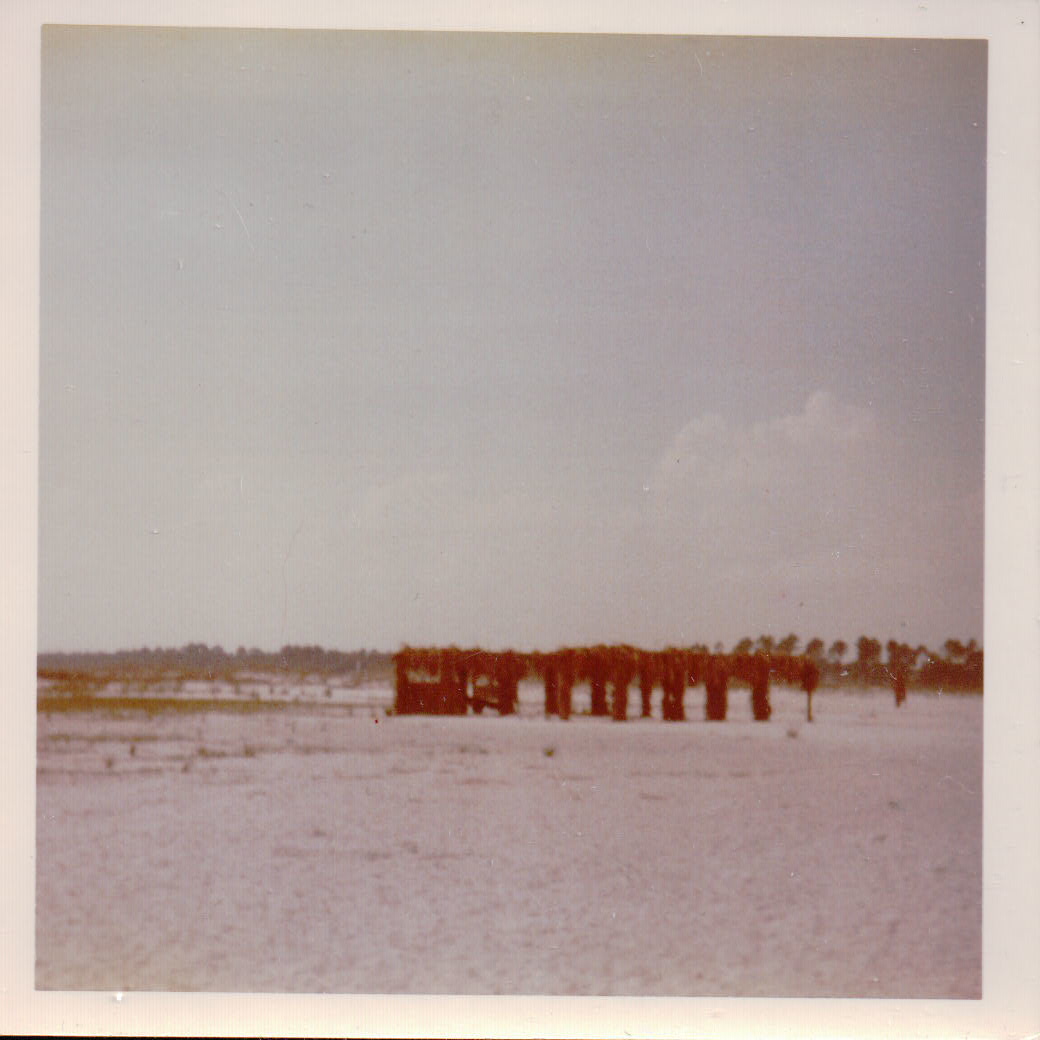 302.JPG  by Terry Kelly Photography