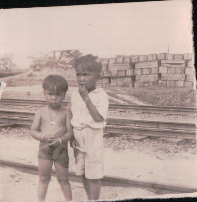 730.JPG  by Terry Kelly Photography