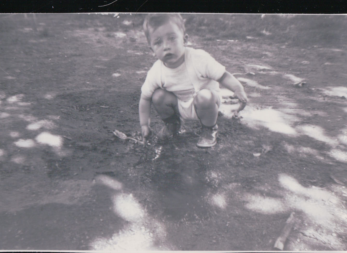 273.JPG  by Terry Kelly Photography