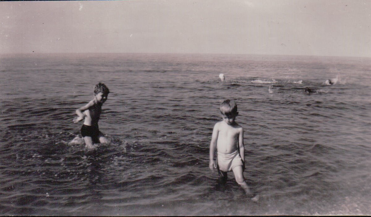 1241.JPG  by Terry Kelly Photography