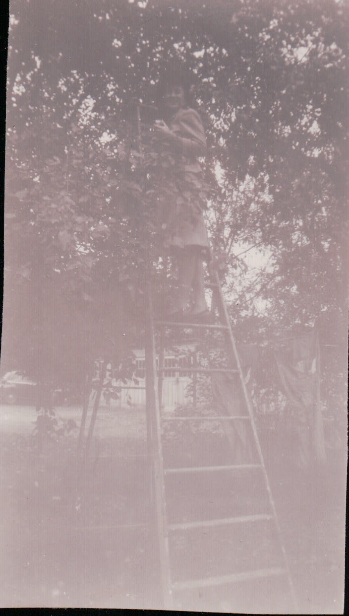 1196.JPG  by Terry Kelly Photography