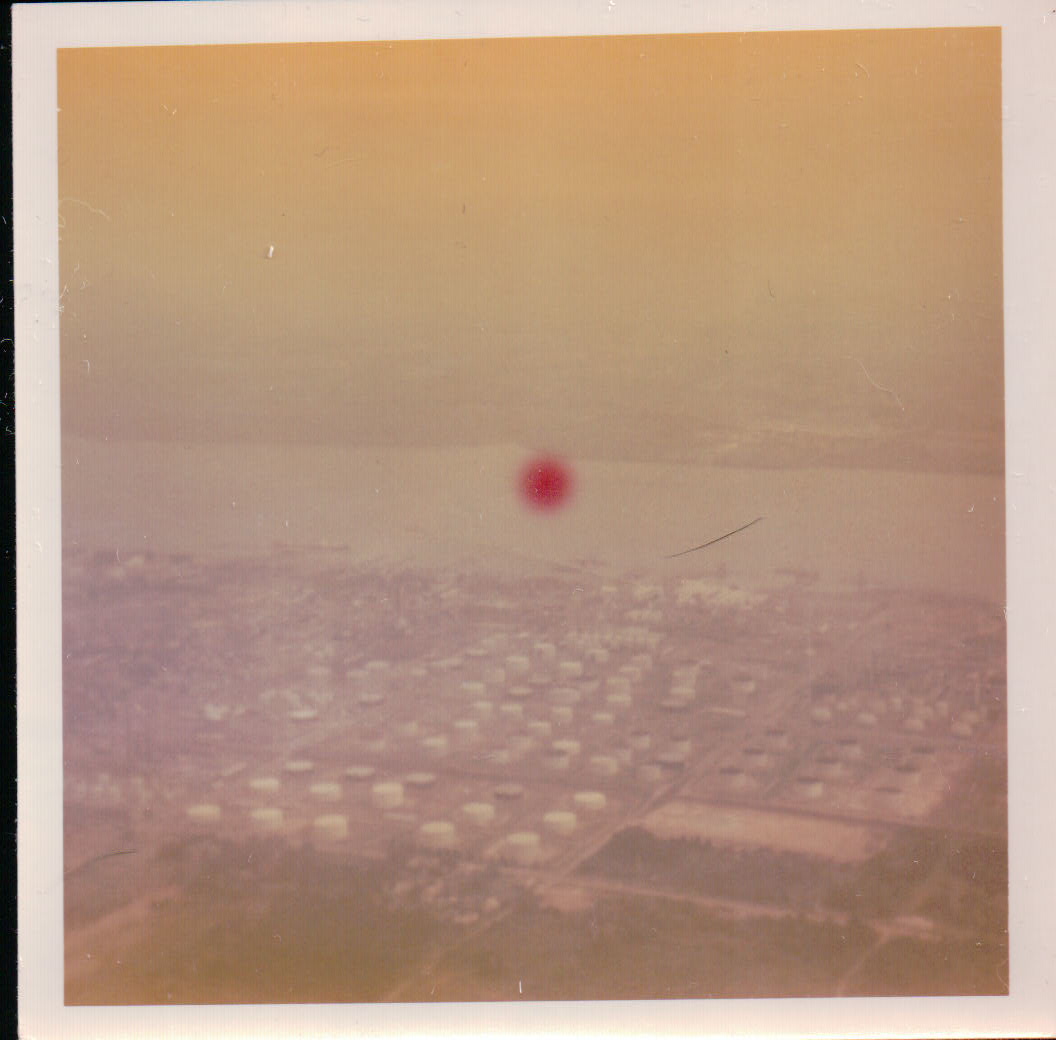 316.JPG  by Terry Kelly Photography