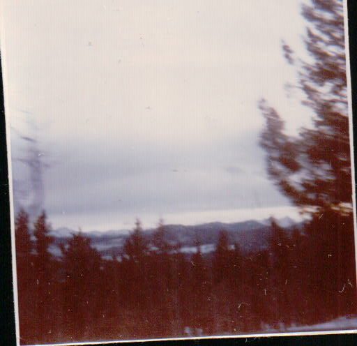 429.JPG  by Terry Kelly Photography