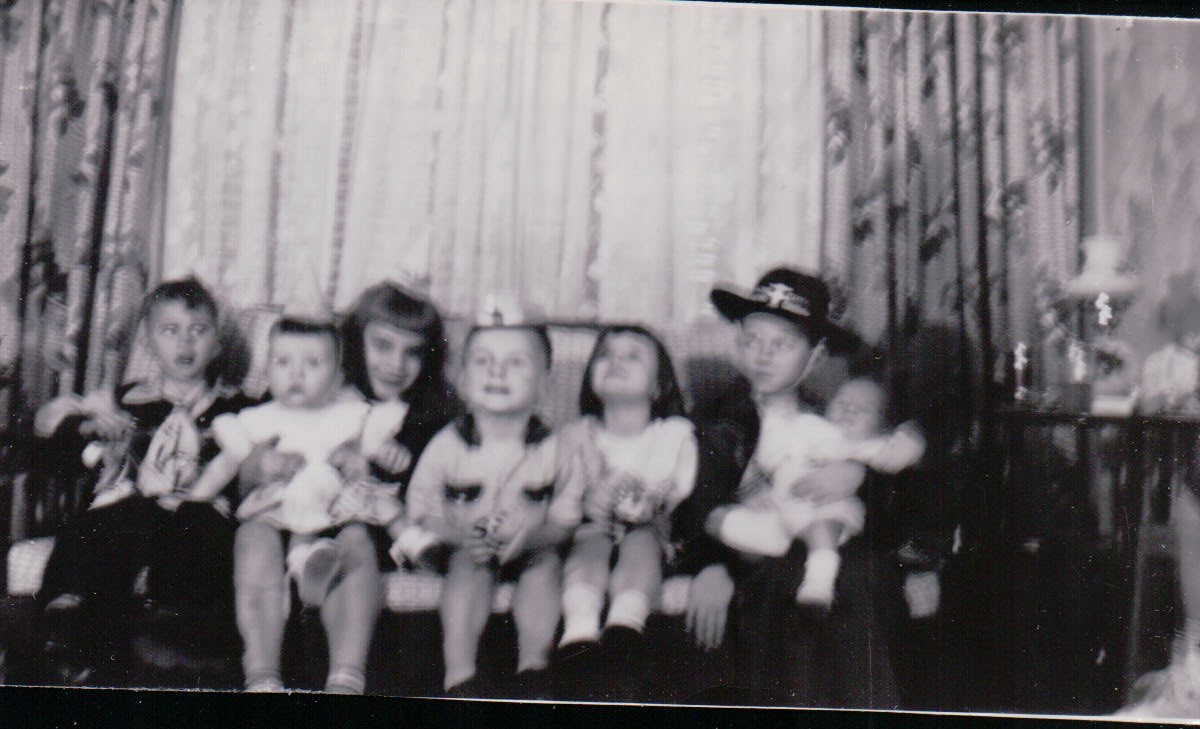 1130.JPG  by Terry Kelly Photography