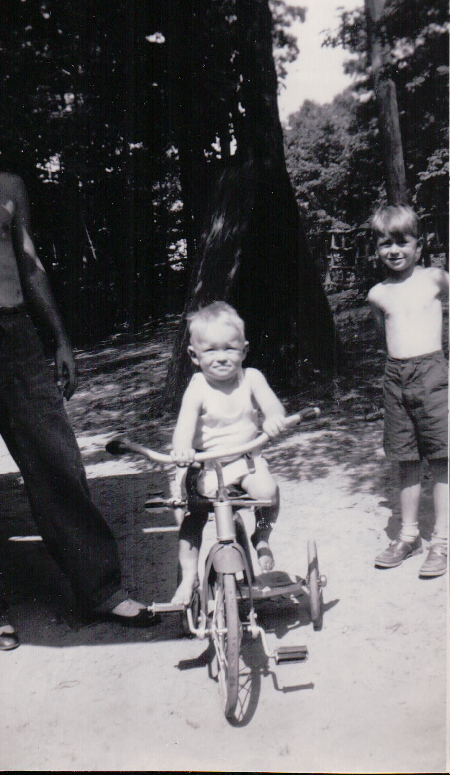 1111.JPG  by Terry Kelly Photography