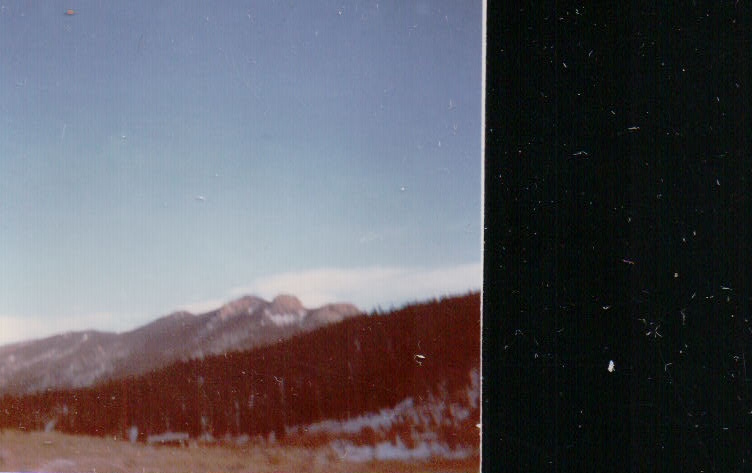 450.JPG  by Terry Kelly Photography