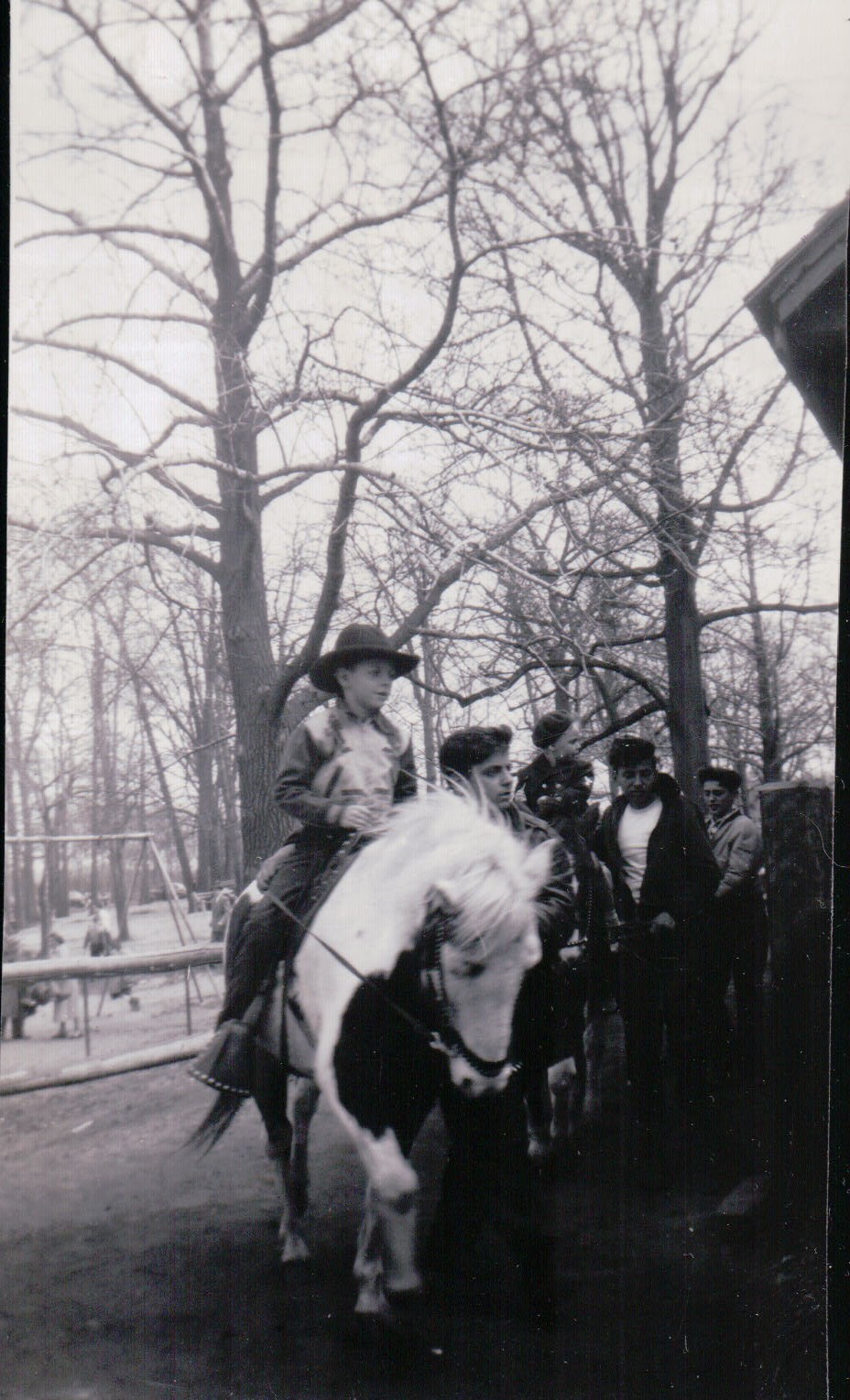 1131.JPG  by Terry Kelly Photography