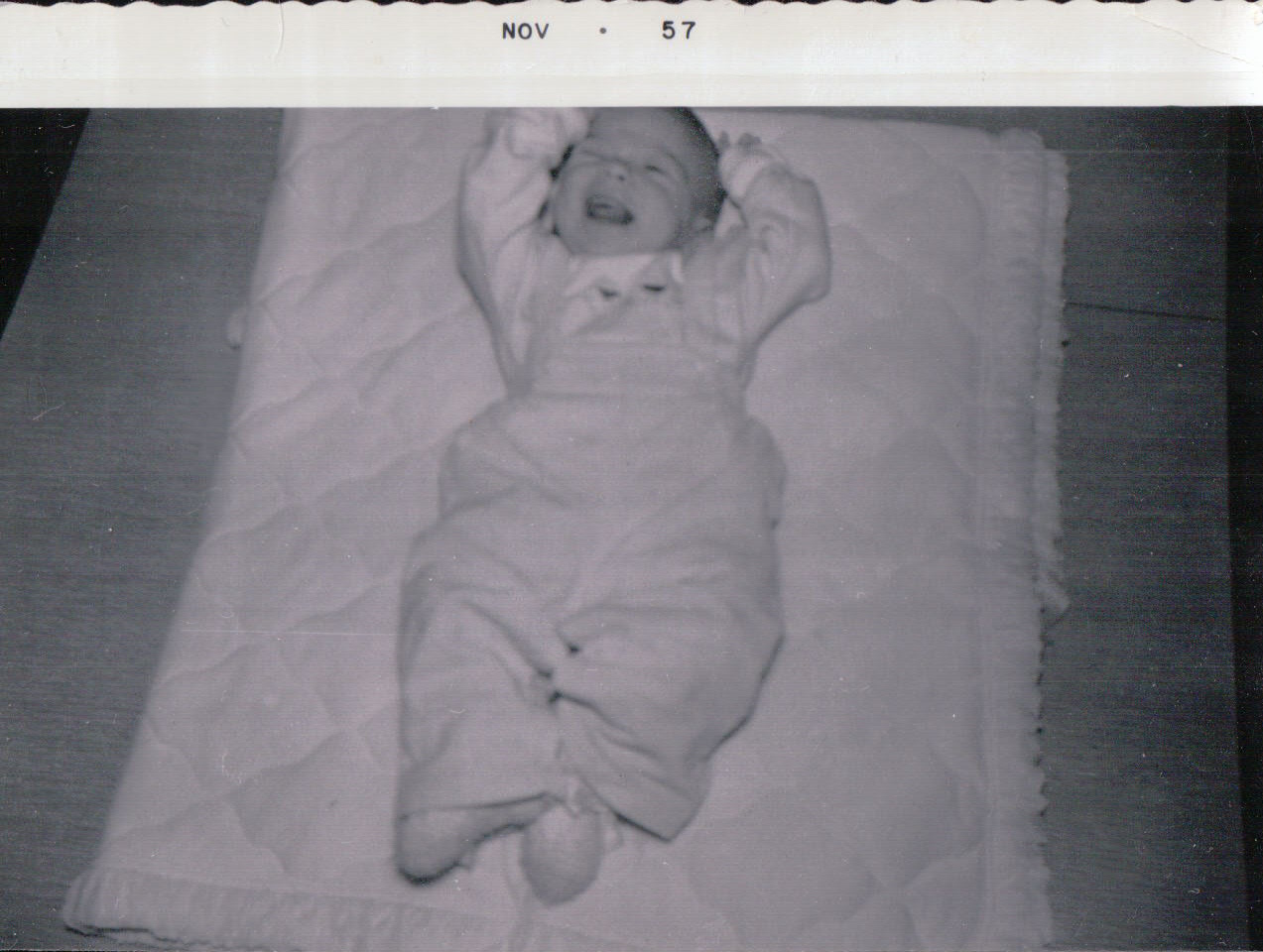 1230.JPG  by Terry Kelly Photography