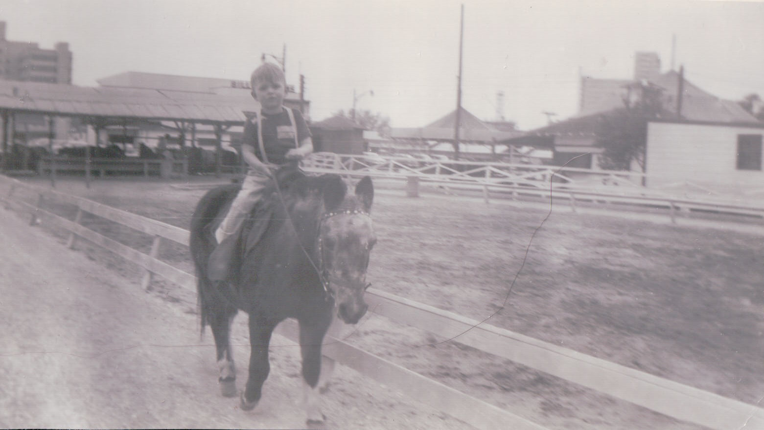 518.JPG  by Terry Kelly Photography